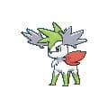 Brilliant Diamond & Shining Pearl Shaymin Sky Forme profile image