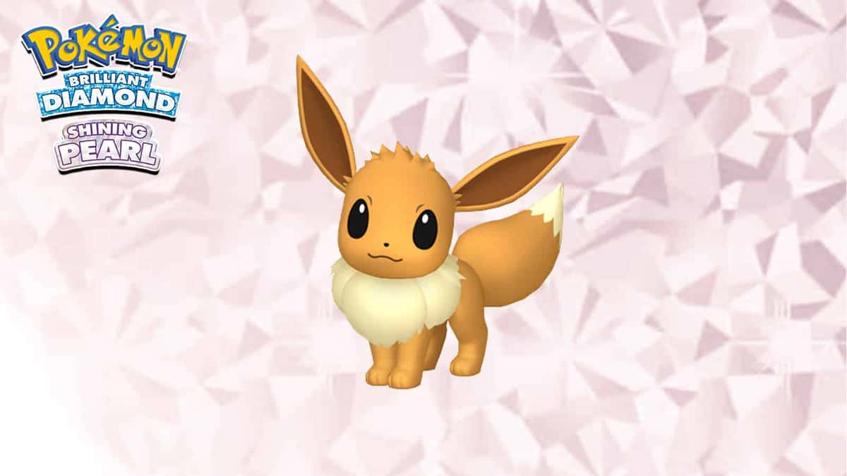 eevee in pokemon brilliant diamond shining pearl