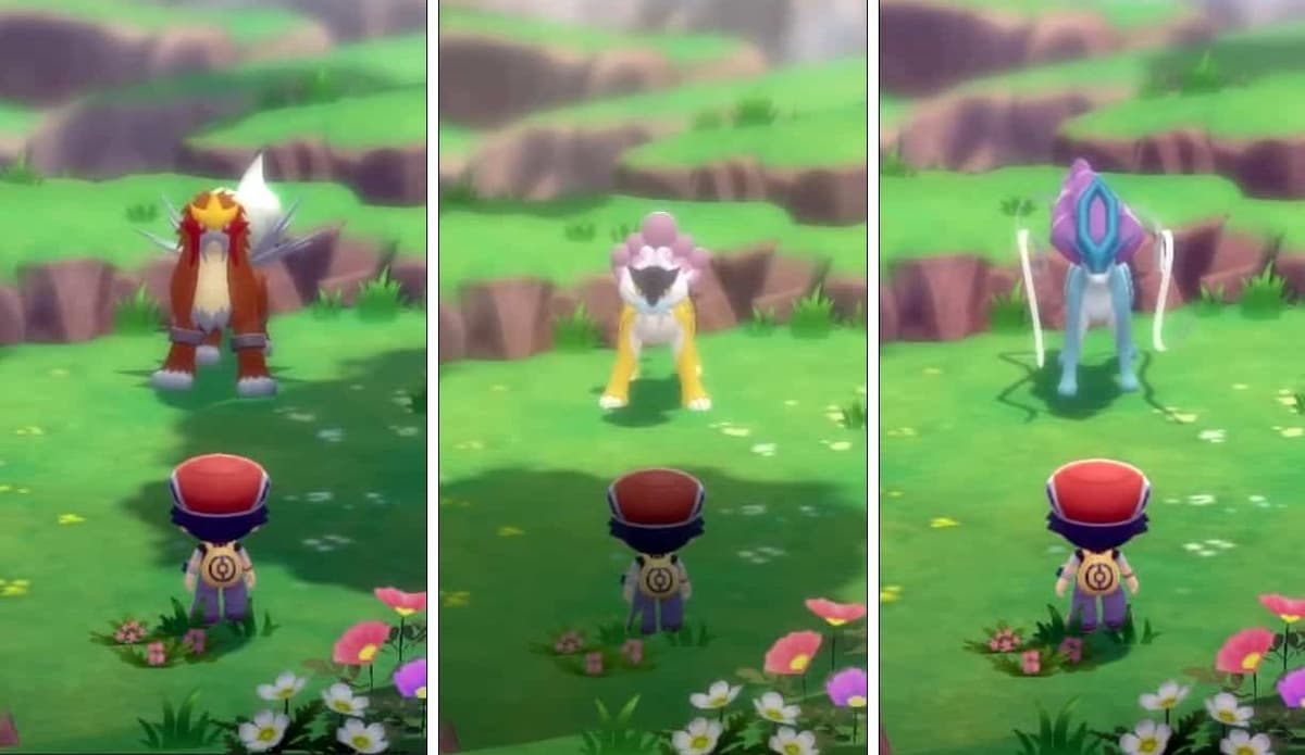 entei raikou suicune encounters in bdsp