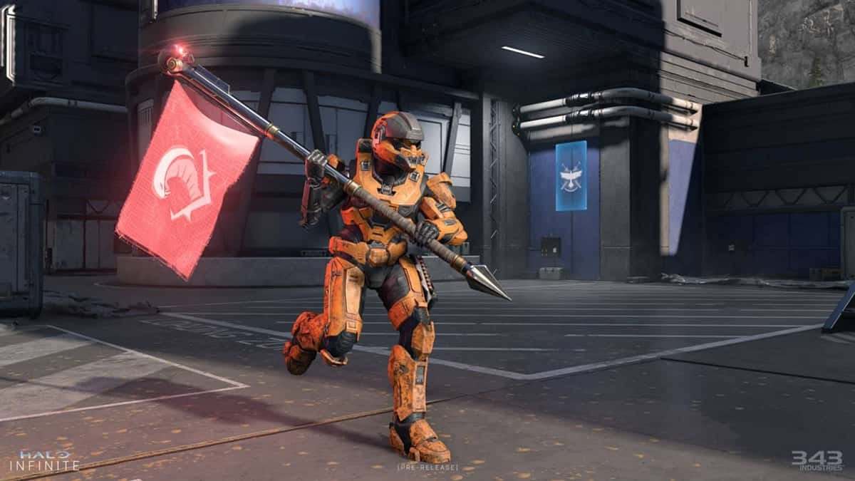 Halo multiplayer screengrab