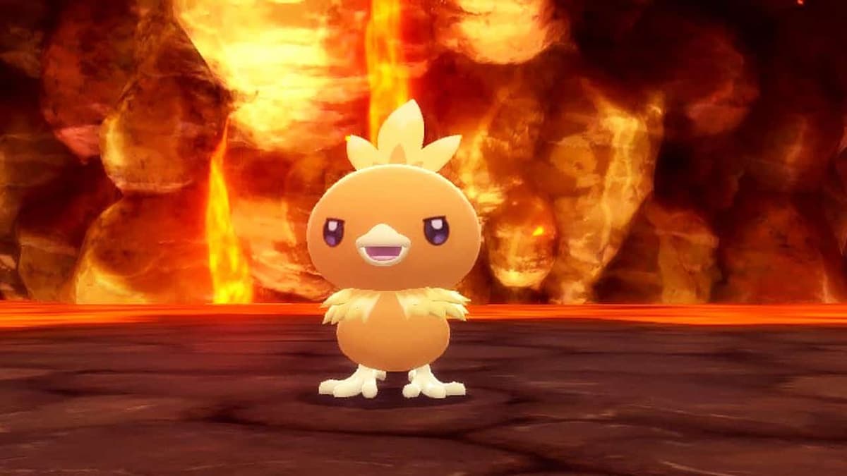 torchic in pokemon bdsp