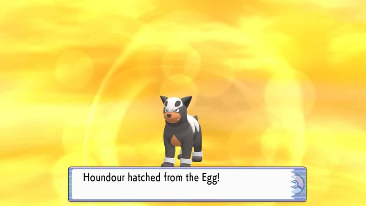 Pokemon Brilliant Diamond & Shining Pearl Houndour hatching from egg screenshot