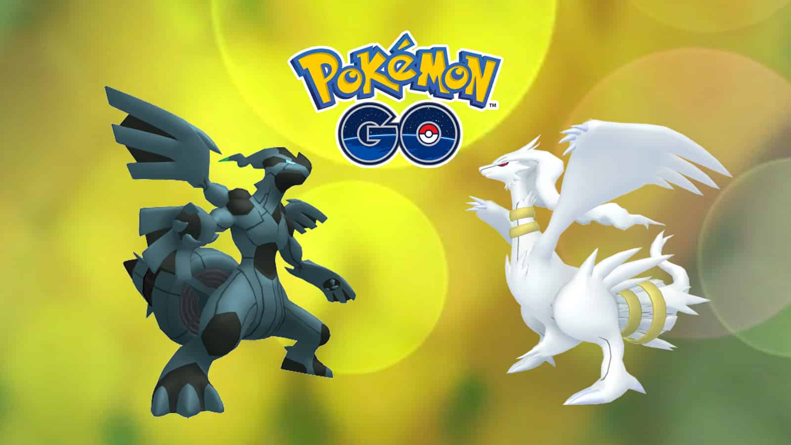 Pokemon Reshiram deals & Zekrom