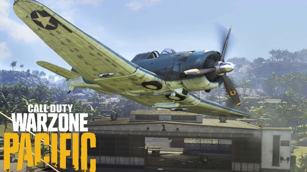 Warzone pacific plane