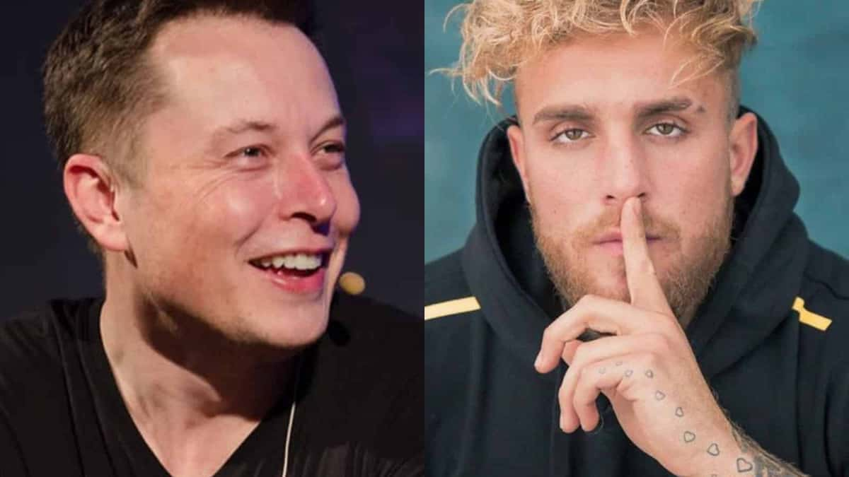 Jake Paul and Elon Musk