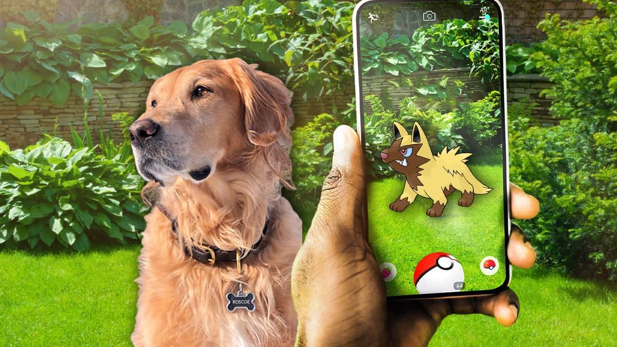 pokemon go shiny poochyena feature image