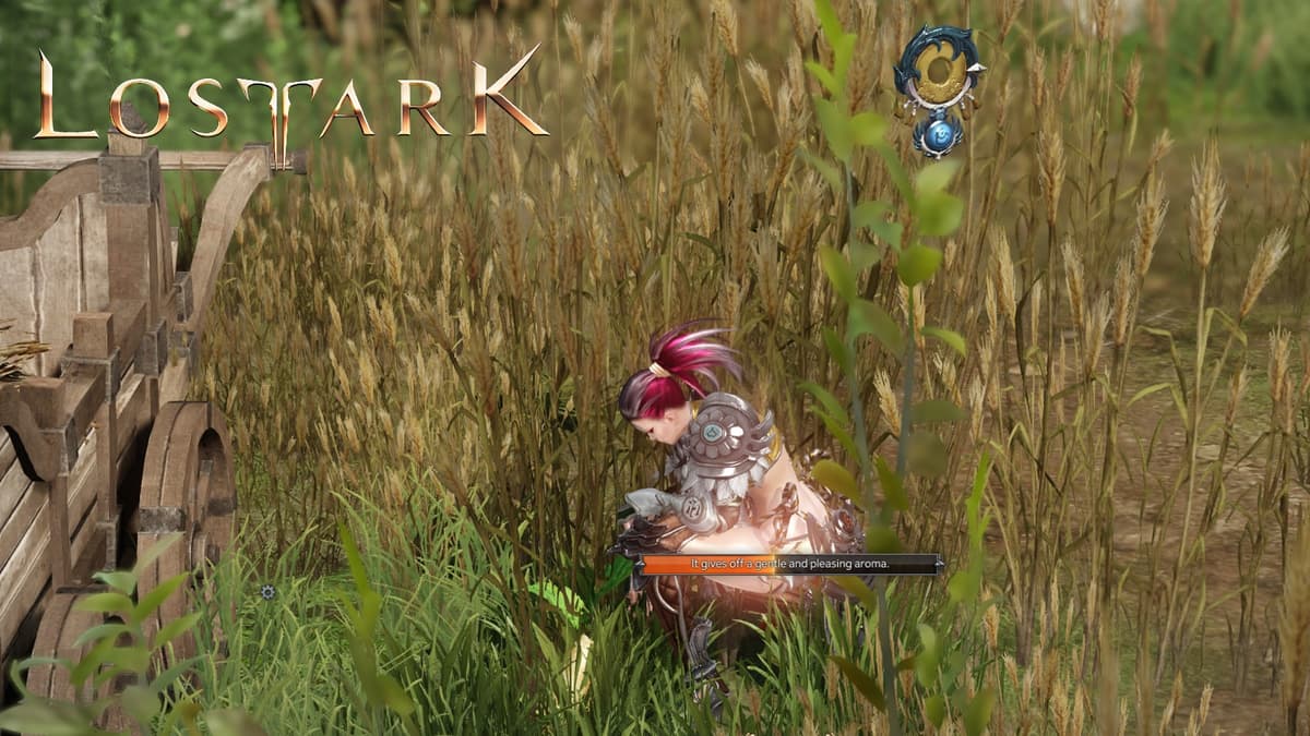 lost ark female soulfist martial artists bends down to pick up mokoko seed