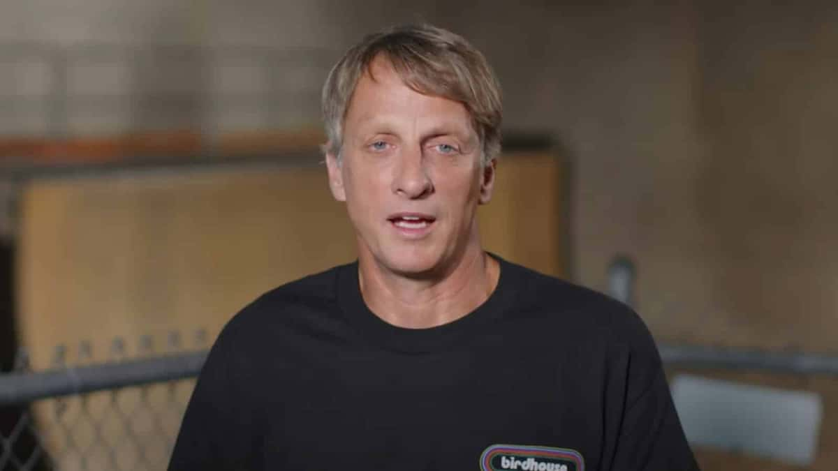 Tony Hawk brown