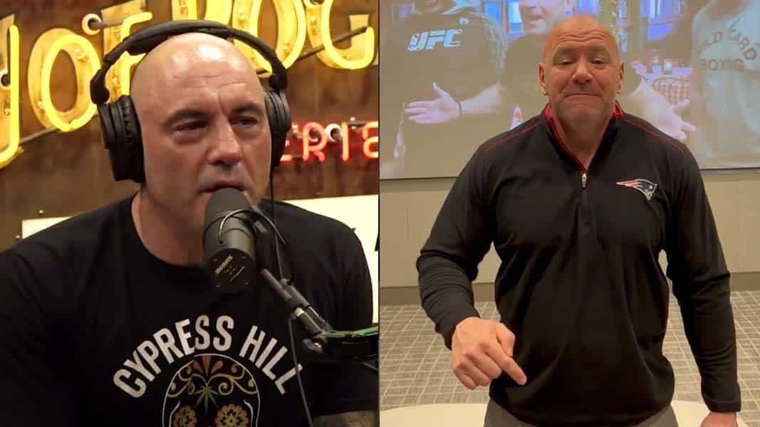 Joe Rogan and Dana White