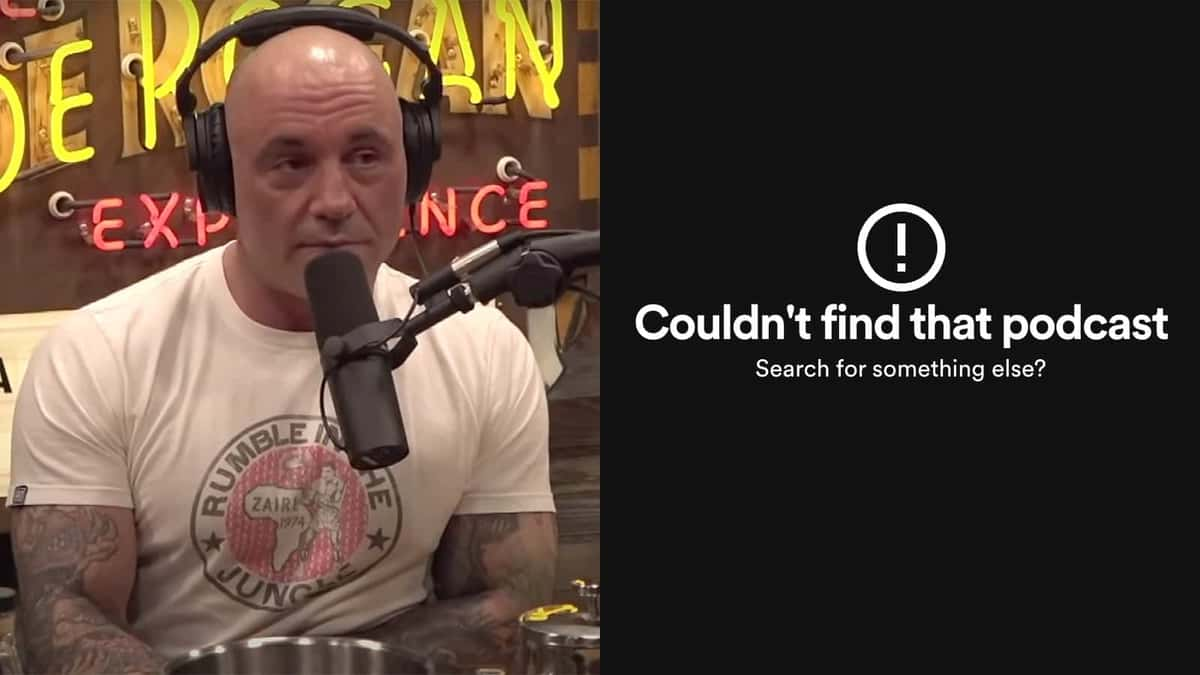 joe rogan experience podcast