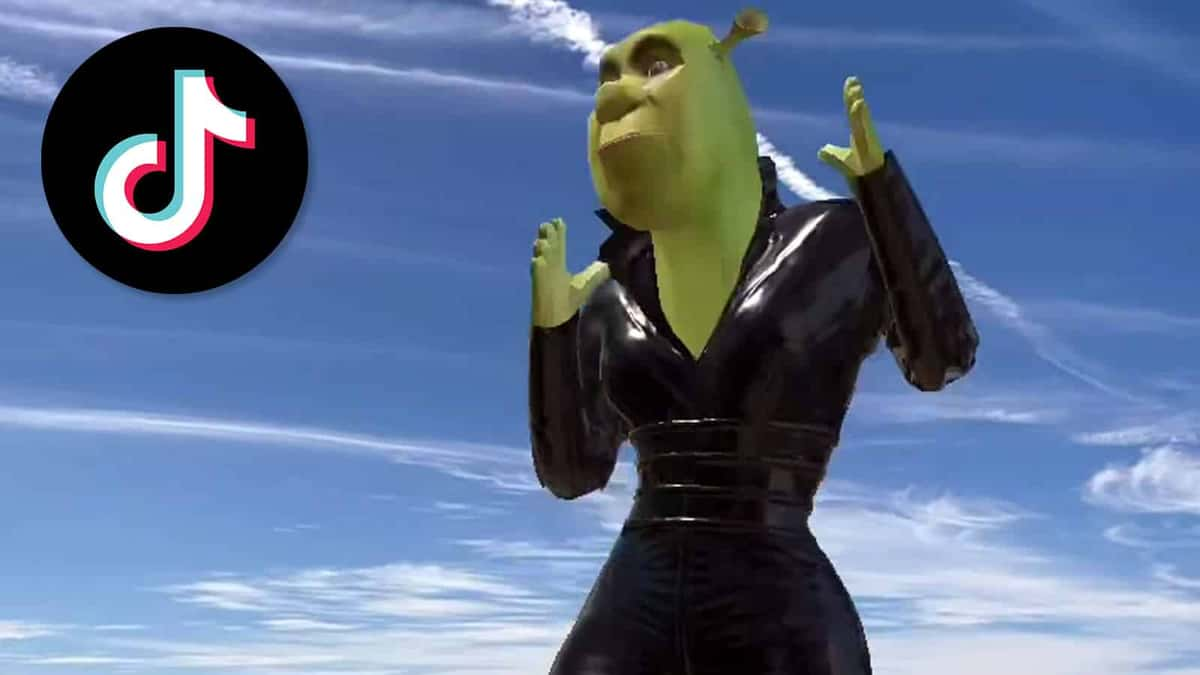 shrek-tiktok-filter