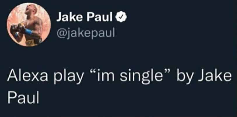 Jake Paul Julia Rose deleted tweet