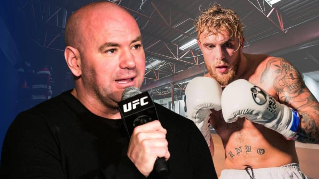 dana white and jake paul