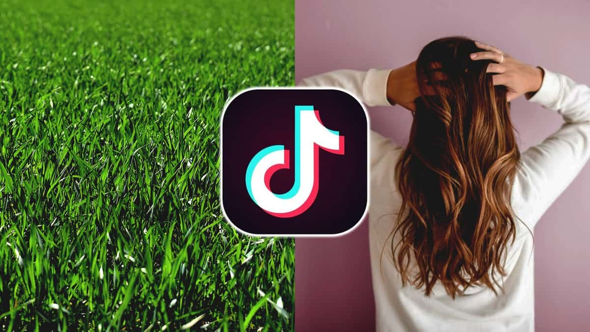 An image of tiktok's grass vs hair debate