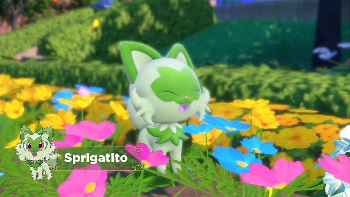 Sprigatito in Pokemon Scarlet and Violet