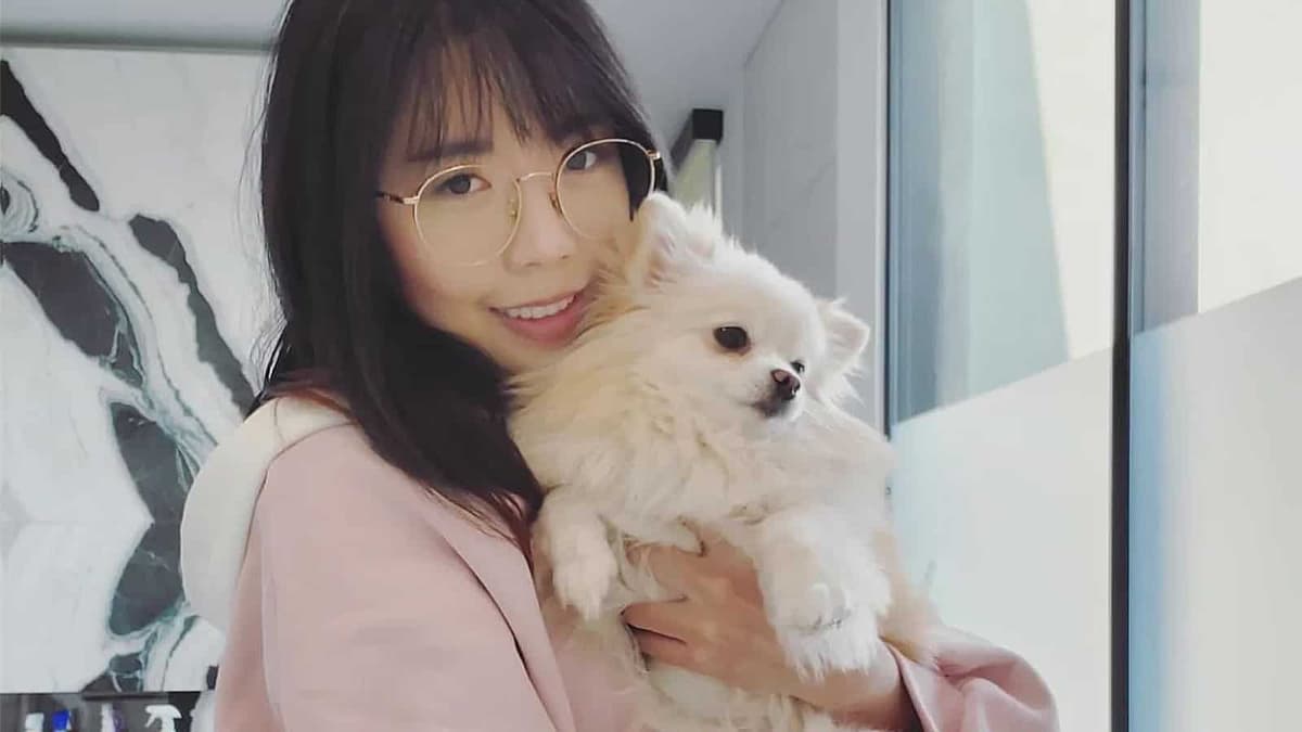 Lilypichu holding a dog