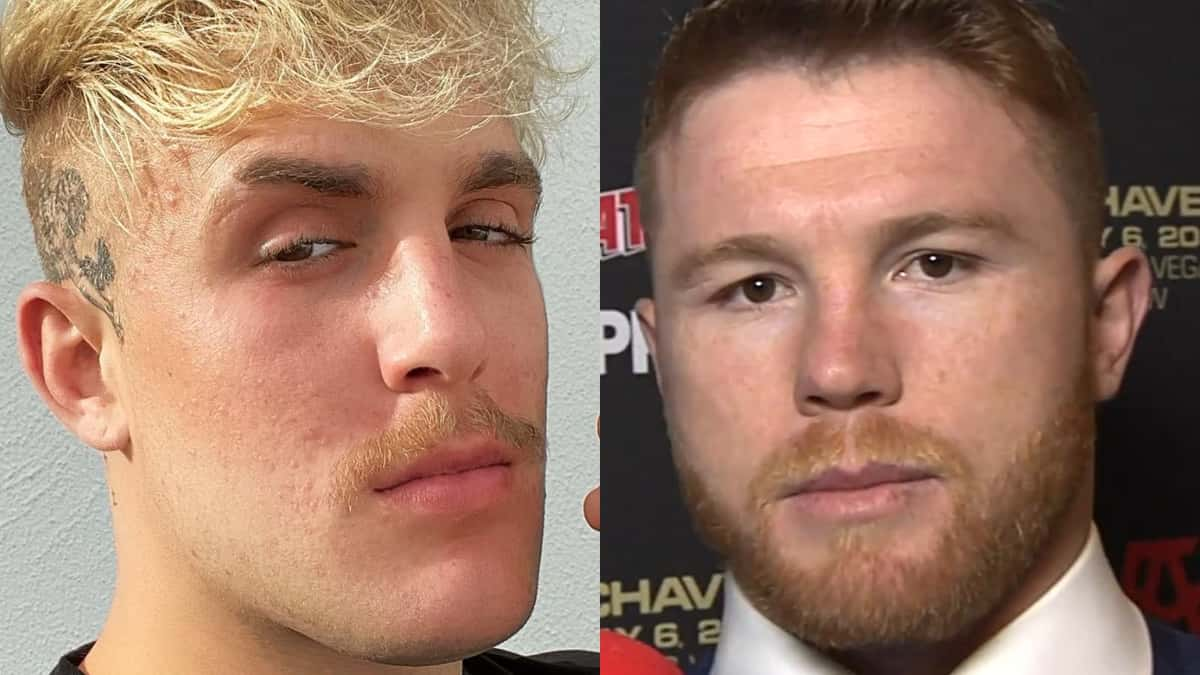 Jake Paul accepts Canelo fight