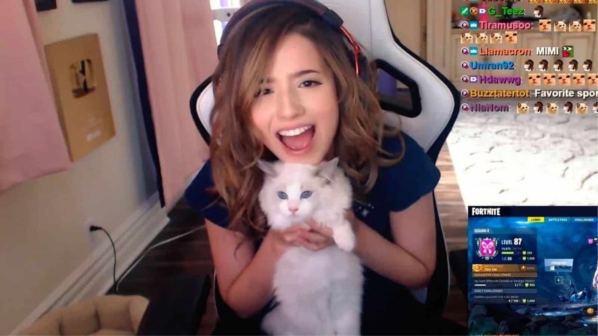 pokimane and mimi the cat