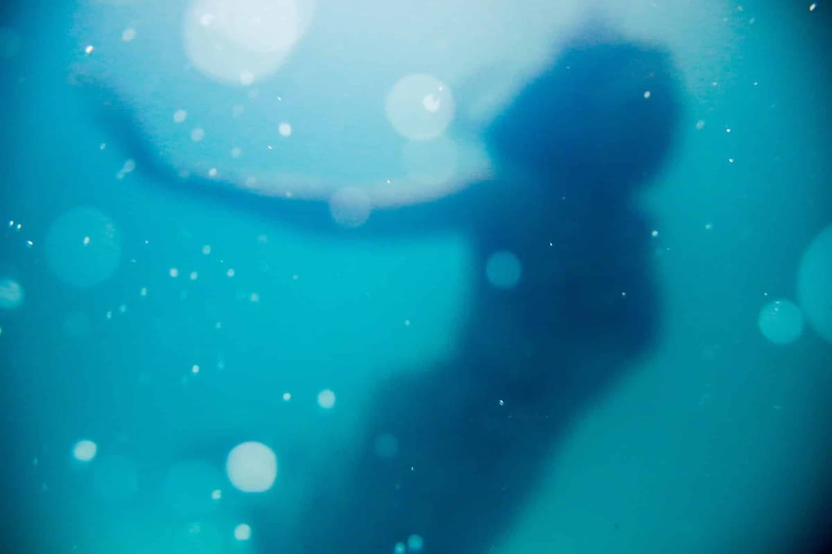 photo of mermaid silhouette underwater