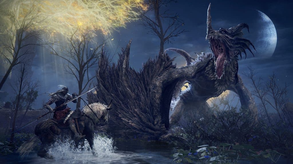 Elden Ring dragon fight