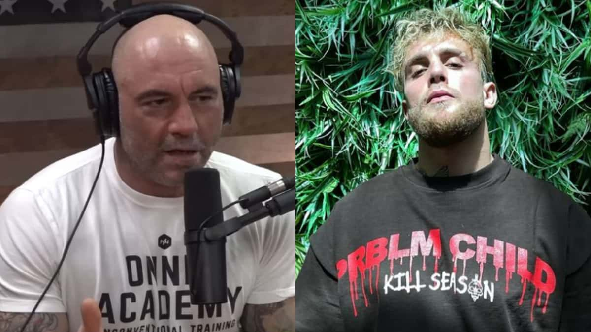 joe rogan jake paul