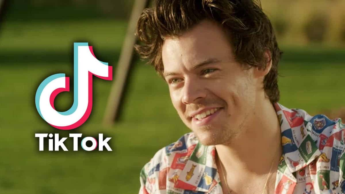 An image of harry styles tiktok