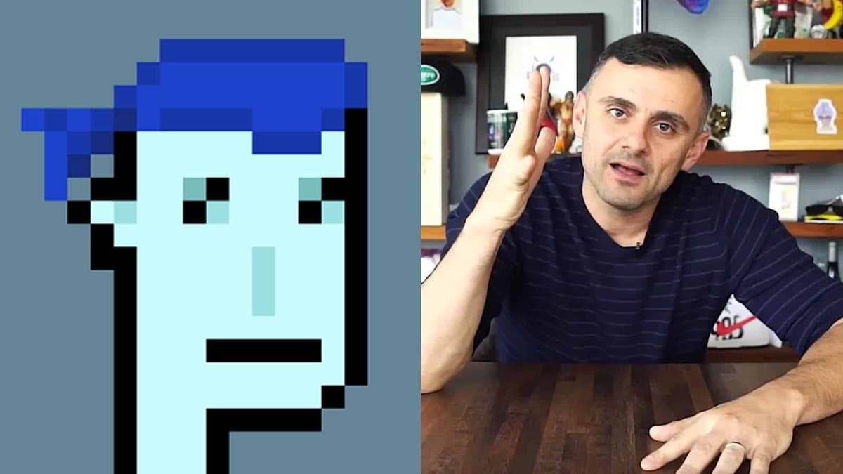 cryptopunk and gary vaynerchuk