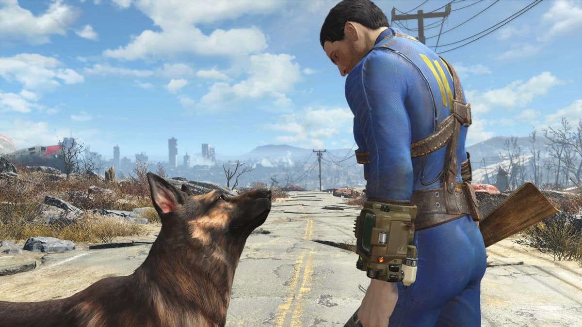 Fallout 4 main character looking at dogmeat companion