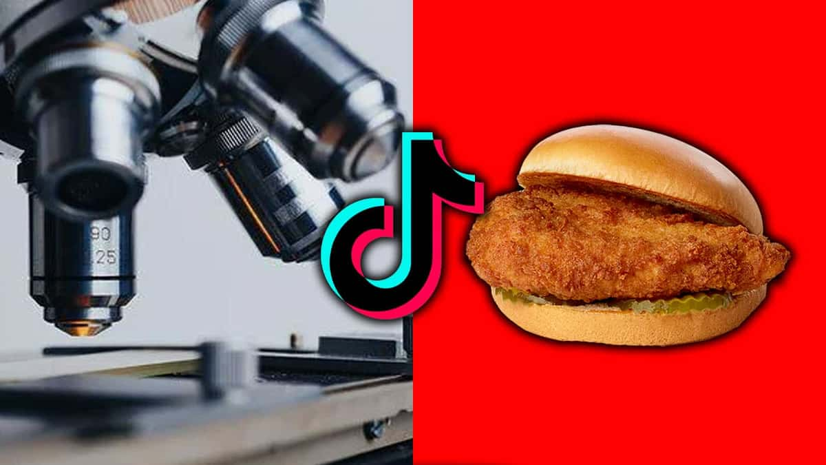 an image of tiktok chick fil-a