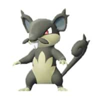 Alolan Rattata