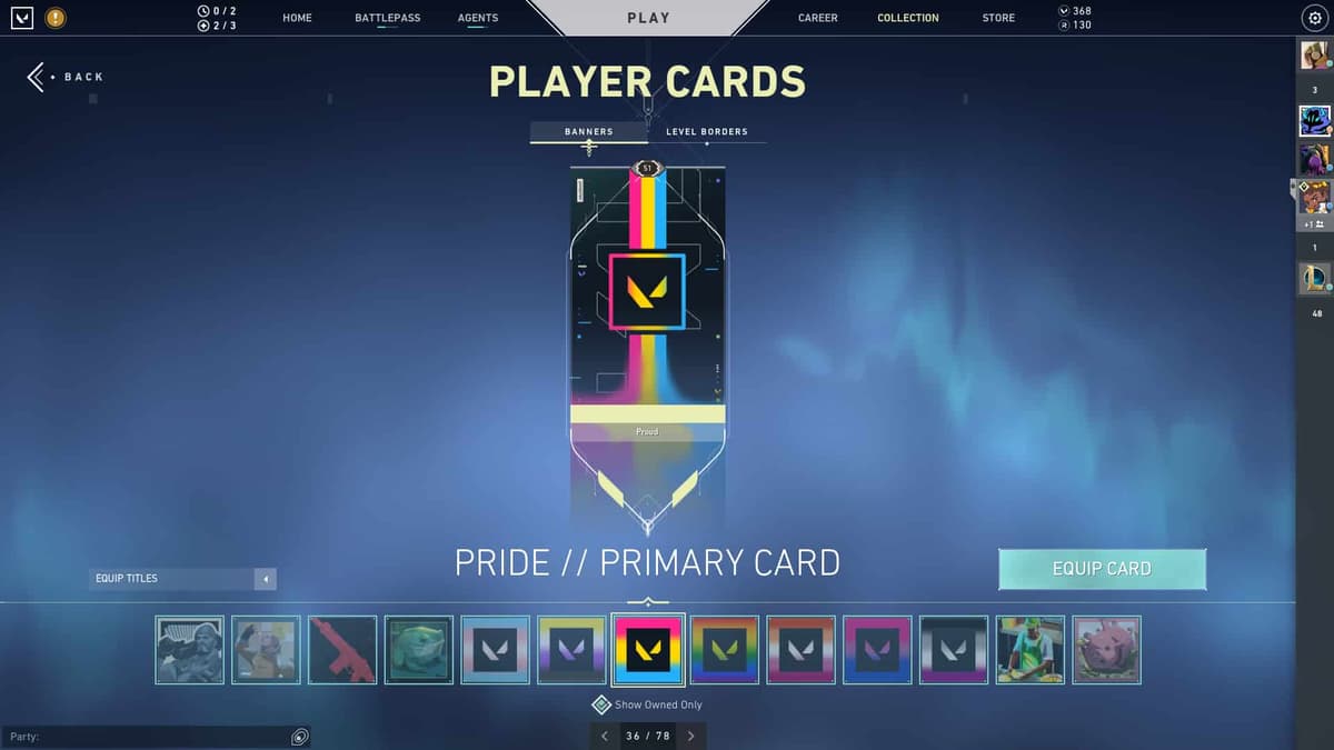 valorant pride player card