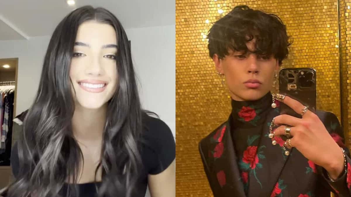 charli damelio tiktok