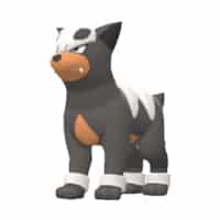 Houndour