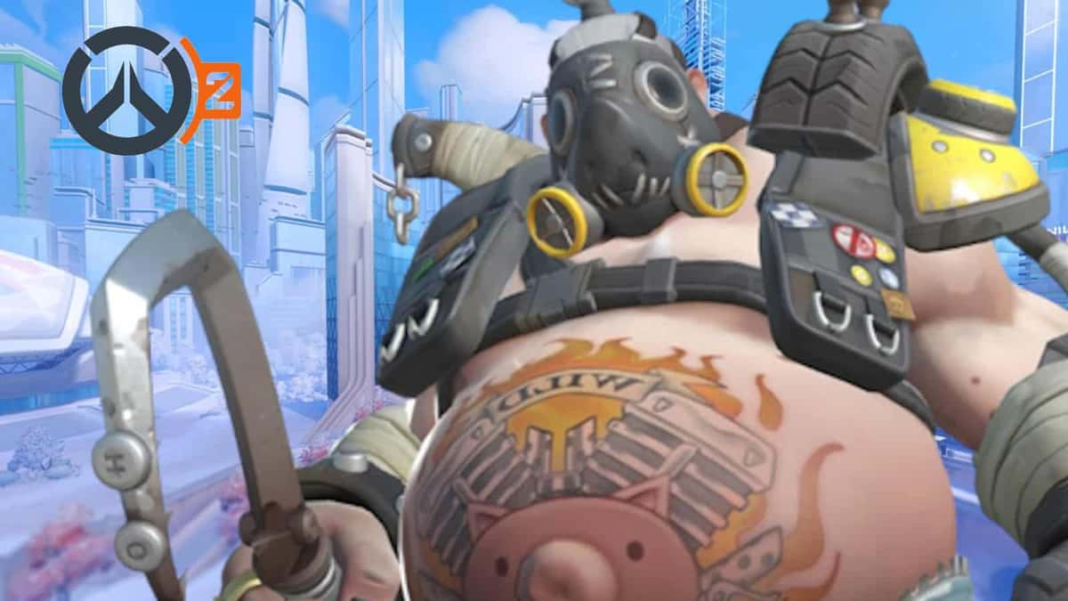 Overwatch 2 roadhog rework