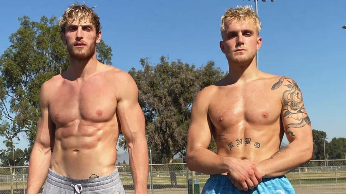 Logan and Jake Paul fight header image