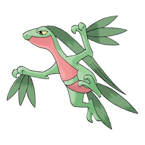 pokemon grovyle