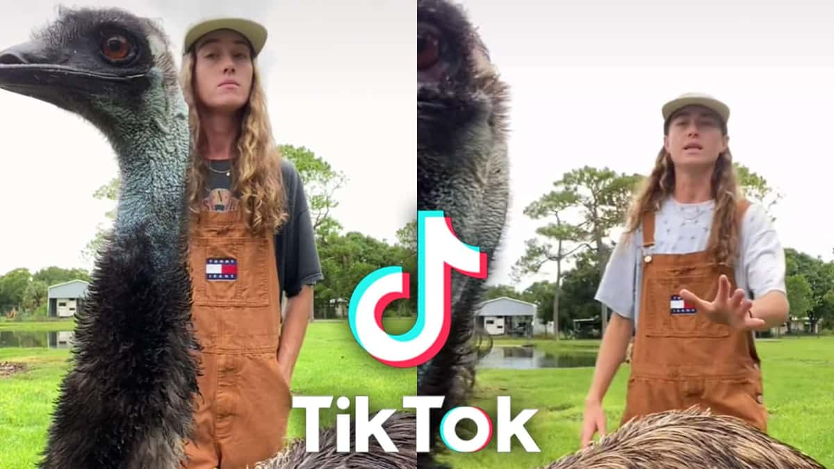 Knuckle Buck Farms TikTok