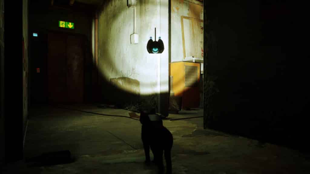 A cat and small drone looking at two doorways