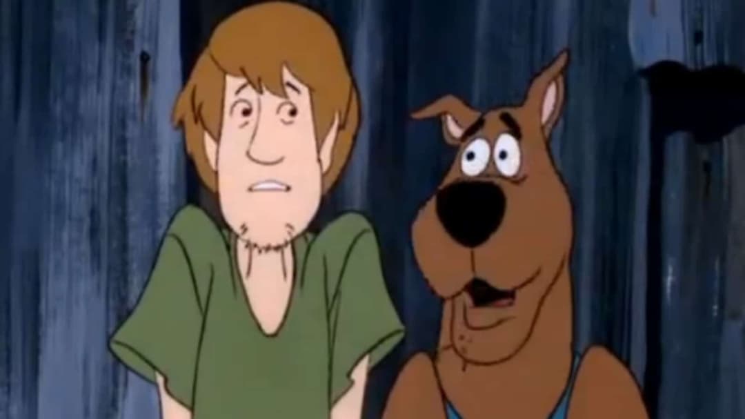 Shaggy voice actor confirms popular Scooby-Doo character is not a ...