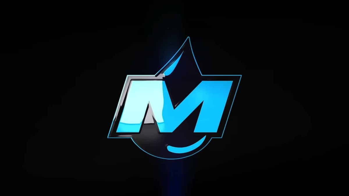 Moist Esports