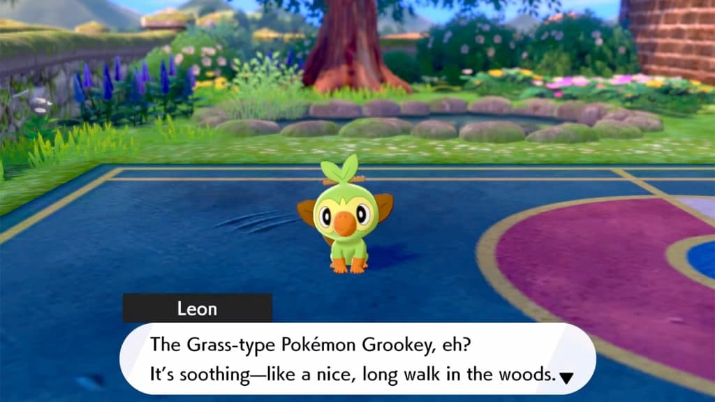 Grookey in Pokemon Sword and Shield