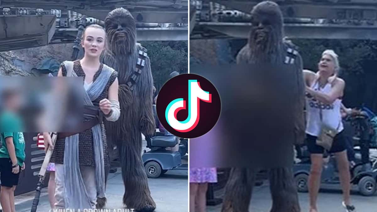 Disney mom under fire for shoving chewbacca