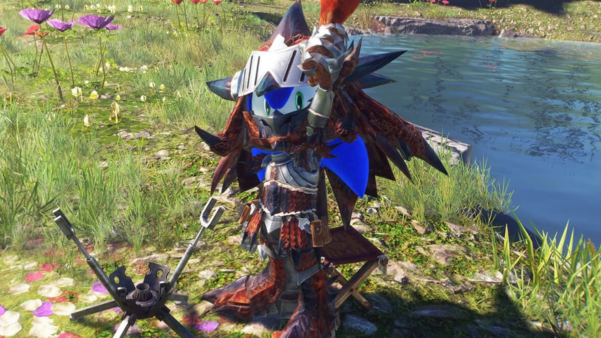 Sonic wearing Monster Hunter Rathalos armor