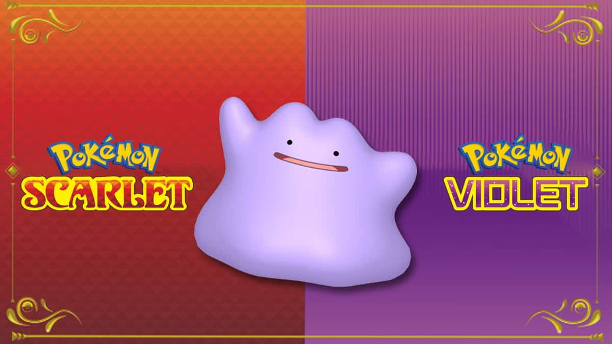 ditto in pokemon scarlet & violet location