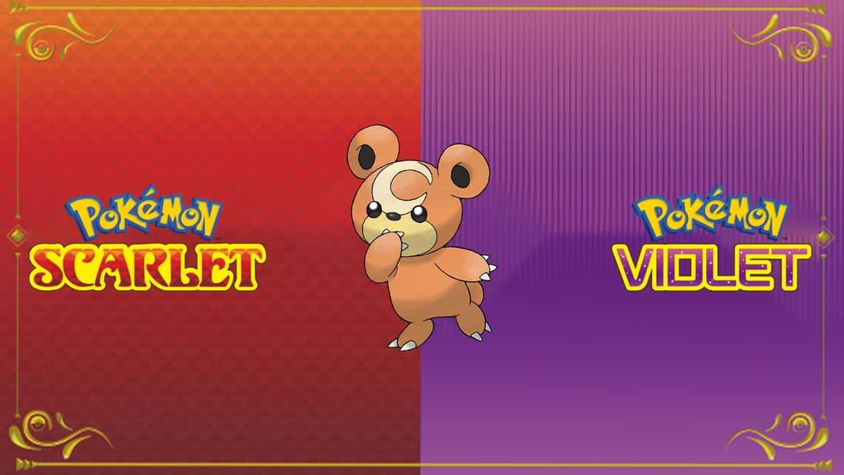 Pokemon Scarlet violet Teddiursa