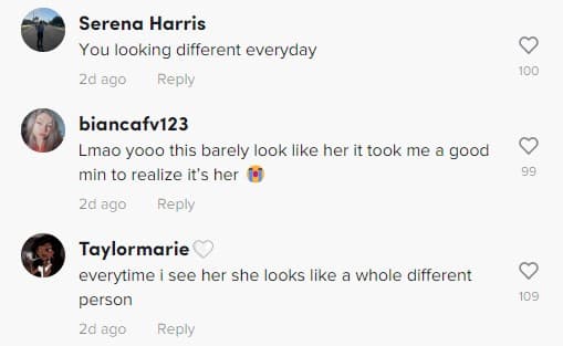 Malu Trevejo TikTok comments