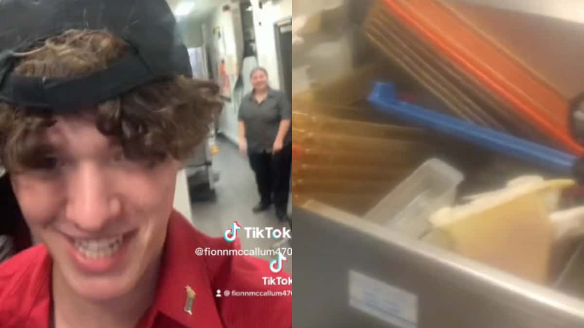 mcdonalds employee quits job