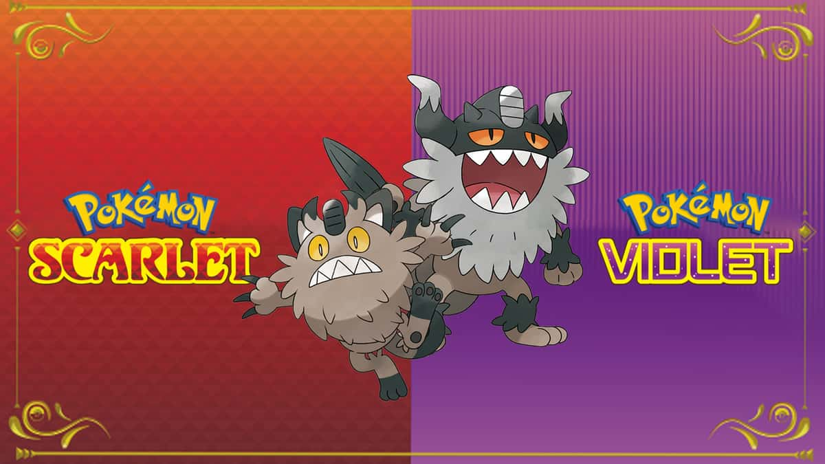 Galarian meowth and Perrserker in Pokemon Scarlet and Violet