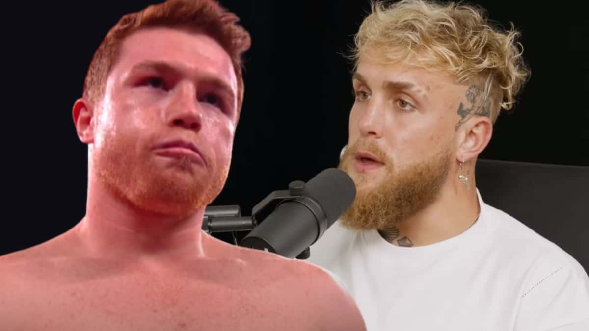 canelo jake paul