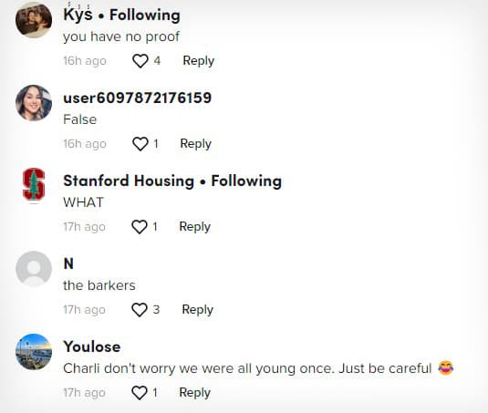 tiktok commenters react to charli rumors copy